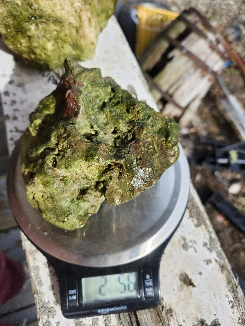Fiji Dry Base Rock for Saltwater Aquarium Setup Natural Reef Rock Aquascaping